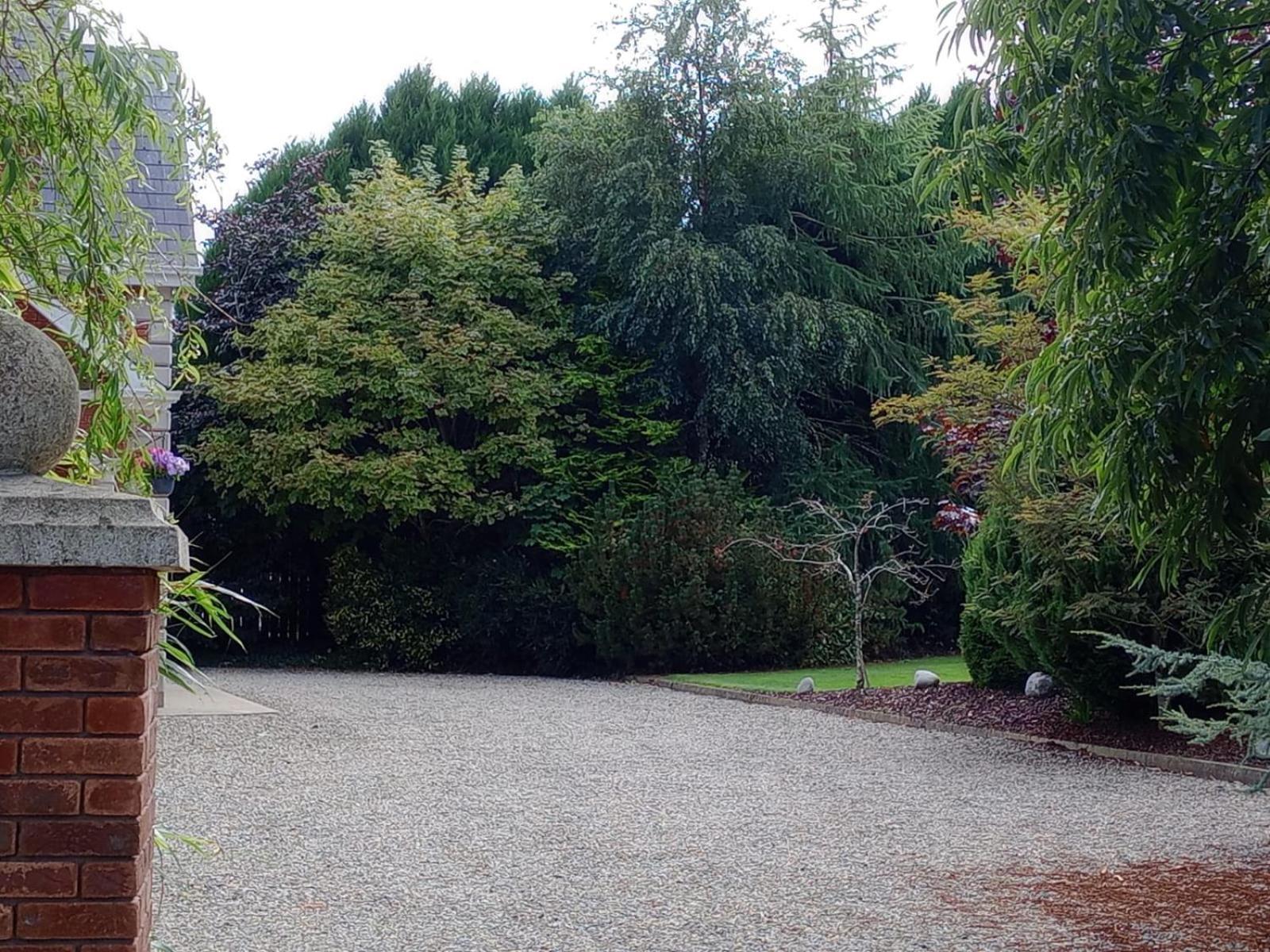 Tullynacrunat Lodge Castleblayney Εξωτερικό φωτογραφία